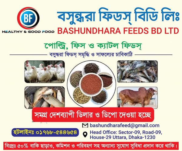 Bashundhara Feed