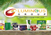 Luminous Global Ltd.