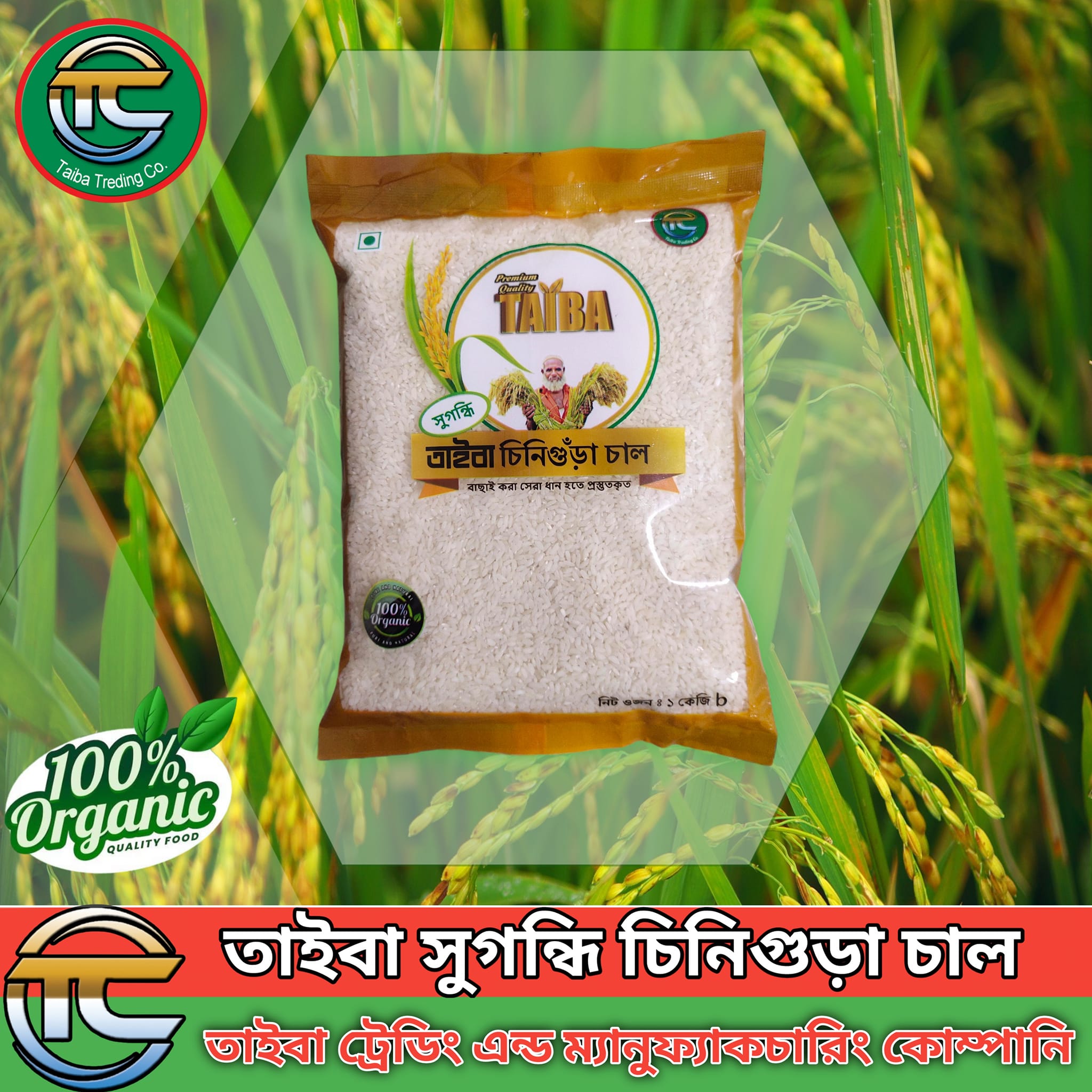 Taiba Trading & Manufacturing Company