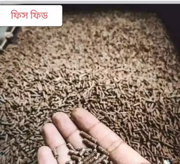 One Star Agro