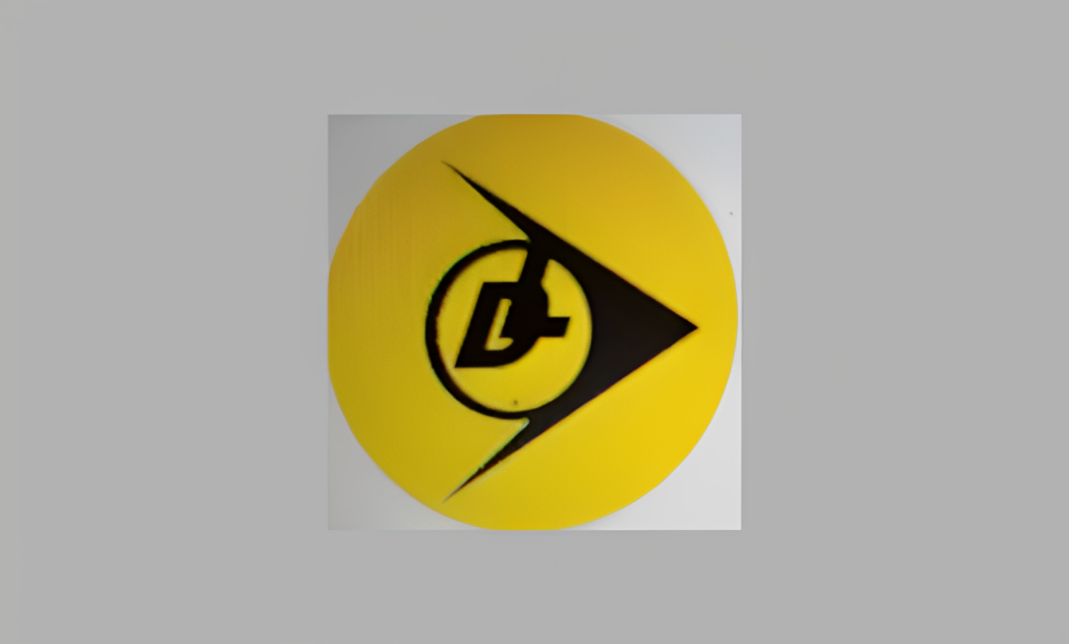 DUNLOP LUBRICANT.INT